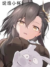 Arknights, please stop going crazy over the streamer's operators.